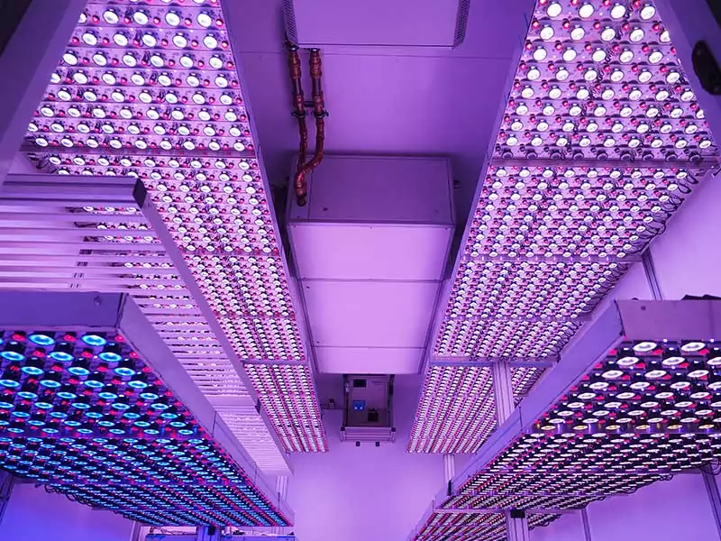 1 customised leds munich