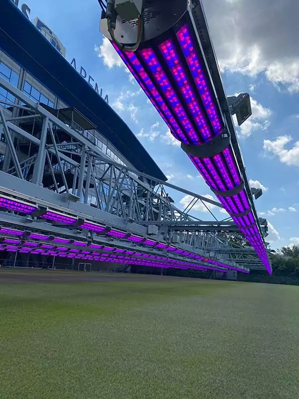 bg lighting the way at schalke 04