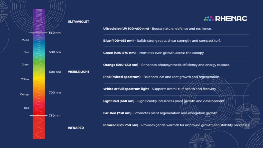 Rhenac CLS technology colours 1