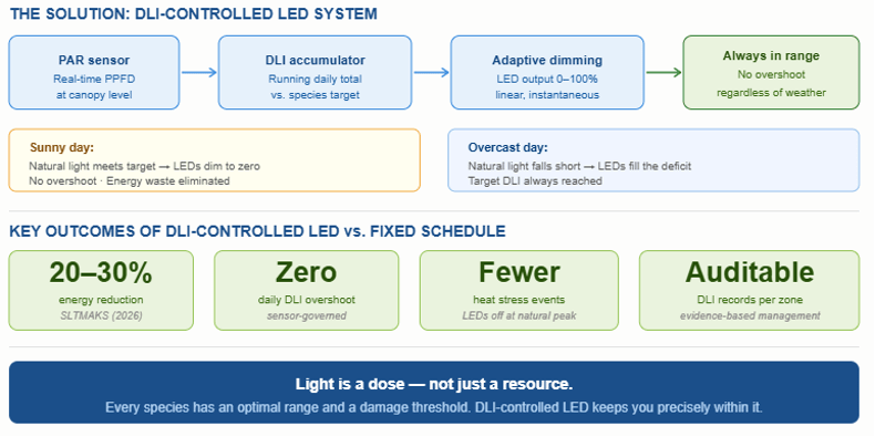 ￼Real-time DLI-controlled LED system compared to fixed-schedule lighting.