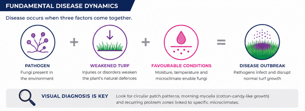 turfgrass disease management
